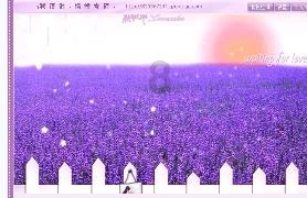伊森卡特的消失