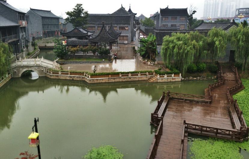 饿狮救援